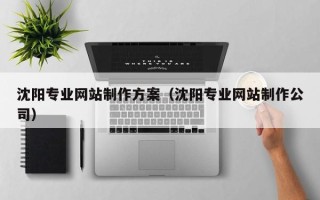 安丘沈阳专业网站制作方案（沈阳专业网站制作公司）
